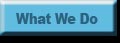 What We Do